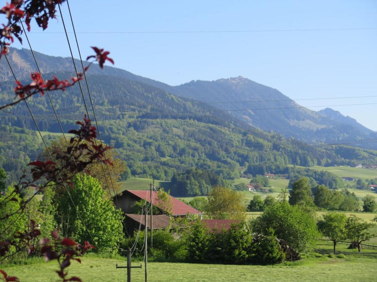 Ferienwohnung Riesenblick Frasdorf Dış mekan fotoğraf